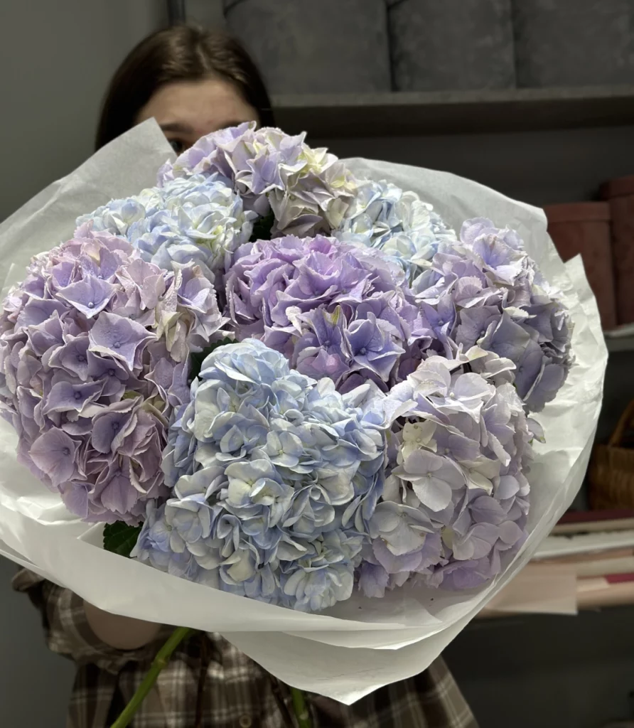 Букет гортензий Симфония: мелодия чувств